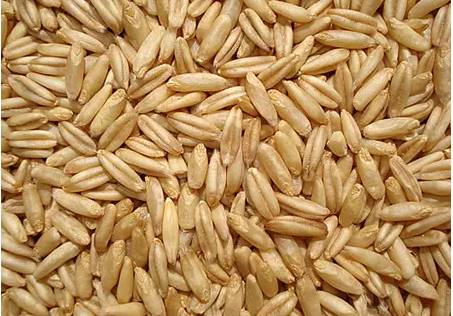 最全的杂粮补益表，吃出健康好身体