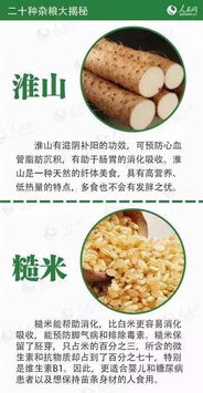 二十种杂粮大揭秘，受用一生的健康宝典